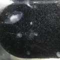 京都大学白浜水族館の写真_303899