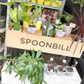 ＳＰＯＯＮＢＩＬＬの写真_304158