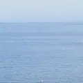初島ダイビングセンターの写真_304186