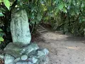 顕宗天皇近飛鳥八釣宮跡の写真_304237