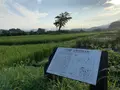 古宮遺跡(伝推古天皇小墾田宮跡)の写真_304238