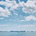 松島島巡り遊覧船の写真_304587
