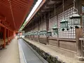 春日大社の写真_305173