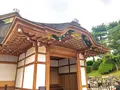 名古屋城の写真_305297