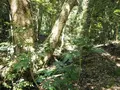 能登國一宮 気多大社の写真_305678