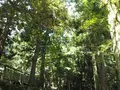 能登國一宮 気多大社の写真_305679