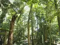 能登國一宮 気多大社の写真_305680