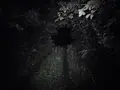 乙女の祈りの写真_305703