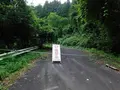 旧水界トンネルの写真_305722