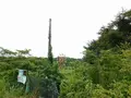 化女沼レジャーランド跡の写真_305738