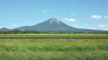 大山の写真_306113