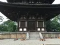 興福寺五重塔の写真_306906