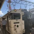 観光列車 指宿のたまて箱の写真_306976