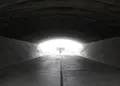 頭大仏（真駒内滝野霊園）の写真_307003