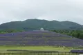 頭大仏（真駒内滝野霊園）の写真_307005