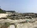 江奈湾干潟の写真_307139