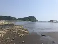 盗人狩の写真_307156