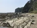 盗人狩の写真_307162