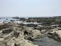 盗人狩の写真_307163