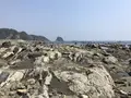 盗人狩の写真_307165