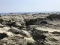 盗人狩の写真_307166