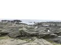 城ケ島の写真_307260