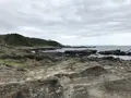 城ケ島の写真_307261