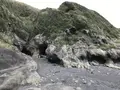 城ケ島の写真_307262
