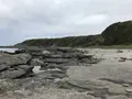 城ケ島の写真_307266