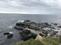 城ケ島の写真_307268