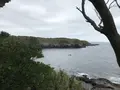 城ケ島の写真_307269