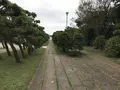 城ケ島の写真_307271