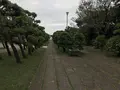 城ケ島の写真_307272