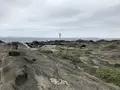 城ケ島の写真_307274