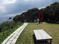 聖域の岬 青の洞窟の写真_308537