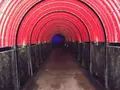 聖域の岬 青の洞窟の写真_308540