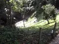 聖域の岬 青の洞窟の写真_308544