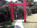 聖域の岬 青の洞窟の写真_308545