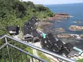 聖域の岬 青の洞窟の写真_308546
