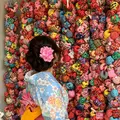 圓満寺の写真_308608