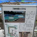 駿府城址の写真_308647