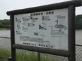 古徳沼の写真_30898