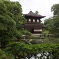 銀閣寺(東山慈照寺)の写真_309078
