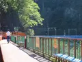 黒部峡谷鉄道の写真_309087