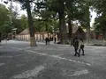 伊勢神宮外宮（豊受大神宮）の写真_309115