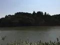剣池の写真_309428