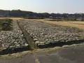 伝飛鳥板蓋宮跡の写真_309481