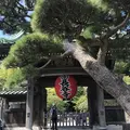 長谷寺の写真_309653