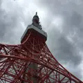 東京駅丸の内南口（バス）の写真_309812