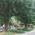 日比谷公園の写真_309829